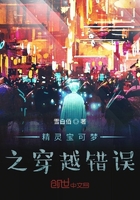 精灵宝可梦之无敌冰伊布在线阅读
