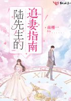 陸先生的追妻指南在線閱讀