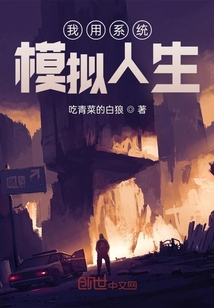 我用系统模拟人生