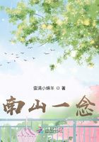 南山一念在线阅读