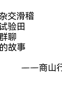雜交滑稽試驗(yàn)田群聊的故事