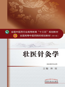 壯醫針灸學(全國中醫藥行業高等教育”十三五”規劃教材)