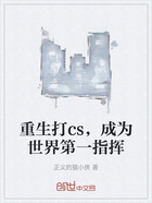 重生打cs，成为世界第一指挥