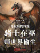 苟且后的辉煌骑士在巫师世界偷生在线阅读