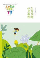 “七色阳光小少年”全国小学生校园美文精品集萃丛书:在青春的怀里撒野在线阅读