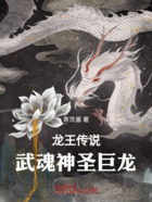 斗罗龙王:武魂神圣巨龙在线阅读