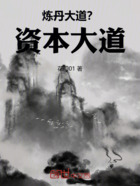 炼丹大道?资本大道!在线阅读