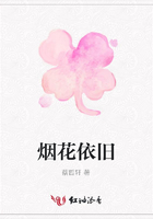 煙花依舊在線閱讀
