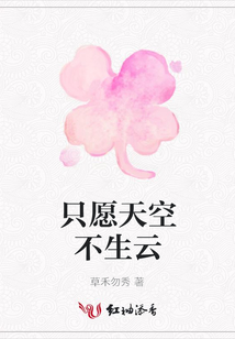 只愿天空不生云