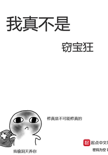 我真不是竊寶狂