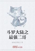 斗罗大陆之最强二哥