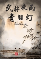武林夜雨青日燈在線閱讀