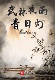 武林夜雨青日燈