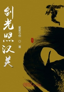 剑光照汉关