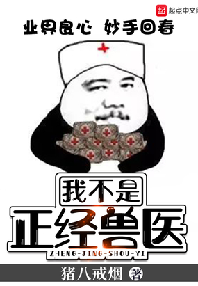 我不是正经兽医在线阅读