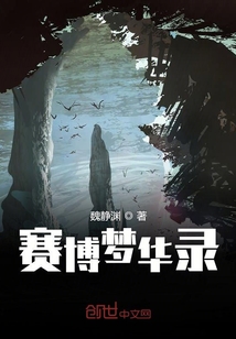 賽博夢(mèng)華錄