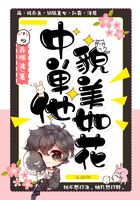 中單他貌美如花在線閱讀