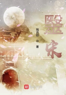 毉宋