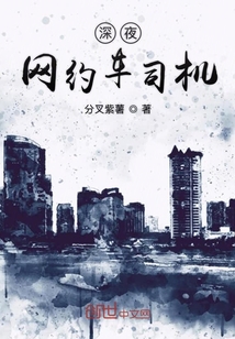 深夜網(wǎng)約車(chē)司機(jī)
