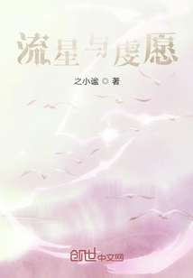 流星與虔愿