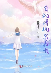 自此清風只為我