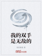 我的双手是无敌的在线阅读