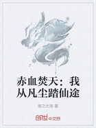 赤血焚天:我从凡尘踏仙途在线阅读