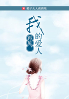 再見，我的愛人在線閱讀