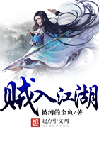 賊入江湖在線閱讀