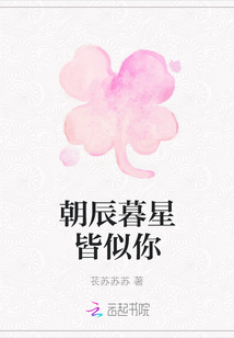朝辰暮星皆似你