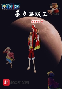 暴力海賊王