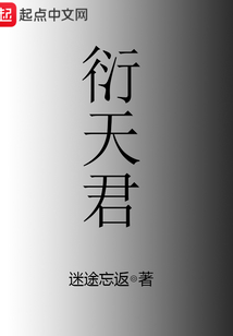 衍天君