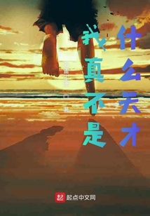 我真不是什么天才