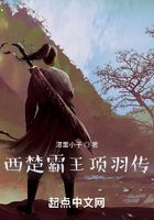 千古霸王项羽传在线阅读