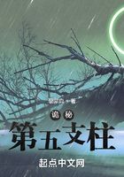 詭秘：第五支柱在線閱讀
