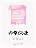 弄堂深处在线阅读