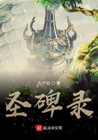 圣碑錄在線閱讀