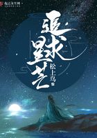 追求星芒在線閱讀