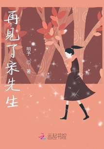 再見了宋先生