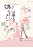 厉先生你被休了在线阅读