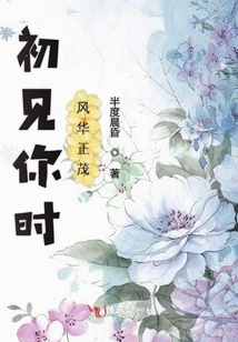 初見你時(shí)風(fēng)華正茂