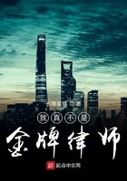 我真不是金牌律師在線閱讀
