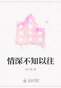 情深不知以往