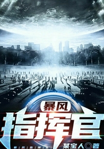 暴風指揮官