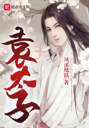 袁太子在线阅读