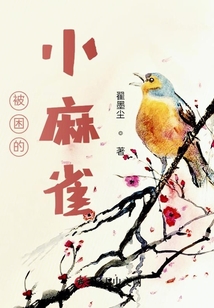 被困的小麻雀