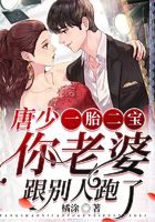 一胎二宝:唐少,你老婆跟别人跑了