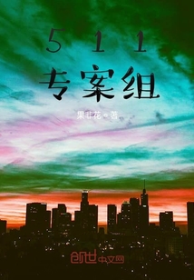 511專案組