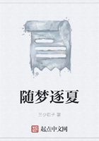 随梦逐夏在线阅读