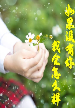 如果没有你,我会怎么样在线阅读